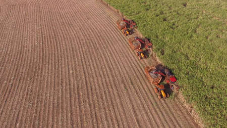 Sugar cane hasvest plantation aerialの写真素材