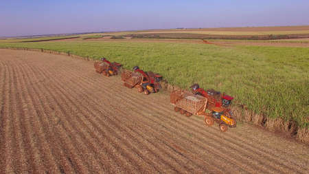 Sugar cane hasvest plantation aerialの写真素材