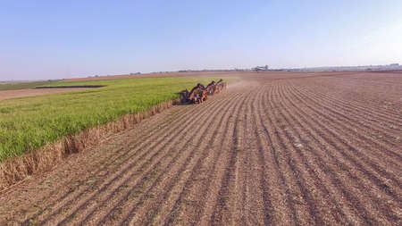 Sugar cane hasvest plantation aerialの写真素材