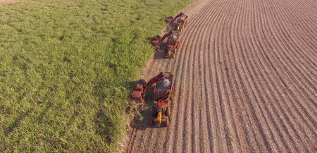 Sugar cane hasvest plantation aerialの写真素材