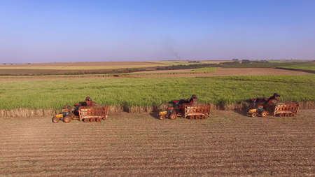 Sugar cane hasvest plantation aerialの写真素材