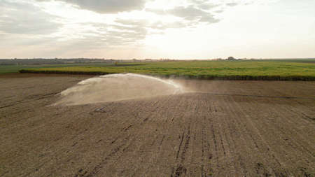 Sugar cane sunset plantation beautiful irrigationの写真素材