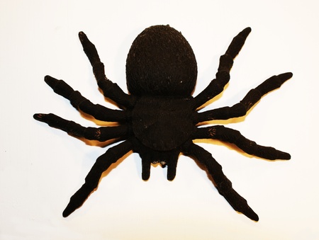 Toy spidersの写真素材