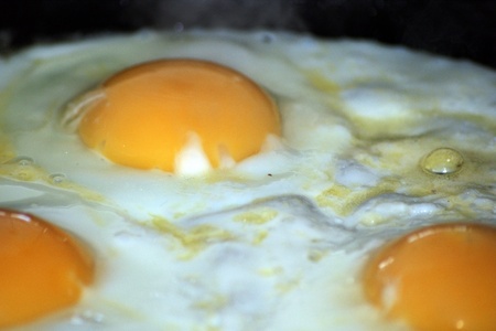 Fried eggsの写真素材