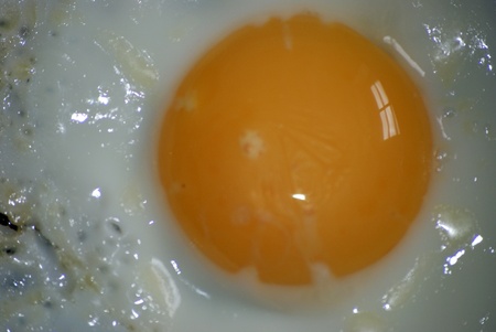 Fried eggの写真素材