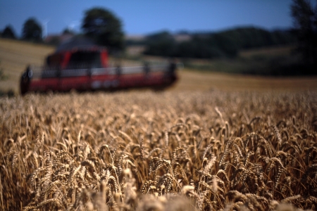 Harvester appoaching the fieldの写真素材