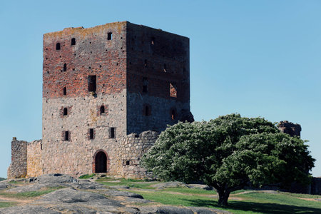 The Mantel tower at Hammershusの写真素材