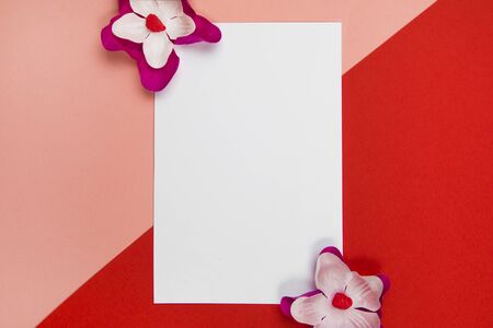 Purple and white flowers with white blank paper on a pastel orange and red backgroundの写真素材