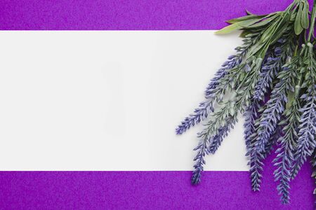 Lavender flowers with blank white paper on a purple backgroundの写真素材
