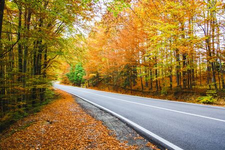 Mountain road crossing the southern section of the Carpathian Mountains of Romaniaの写真素材