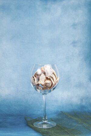 Wine glass full of seashells on a blue backgroundの写真素材