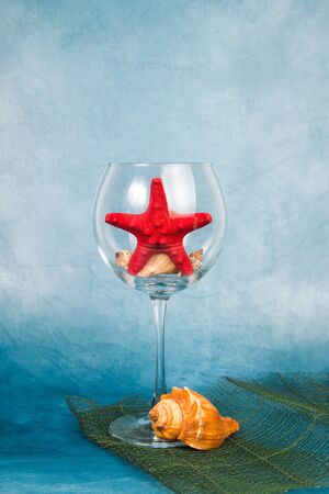 Wine glass with the starfish on a blue backgroundの写真素材