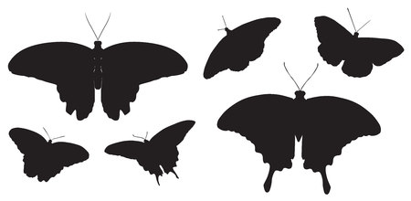 Set of Butterflies. six butterfly silhouette blackのイラスト素材