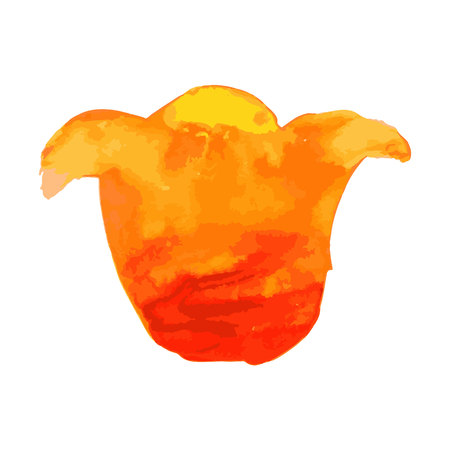 A Vector Floral Collection of Painted Pink Watercolor Peonies Pink and Orange Watercolor Peonies Vector Collectionのイラスト素材