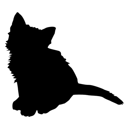 cat, black silhouette vector iconのイラスト素材