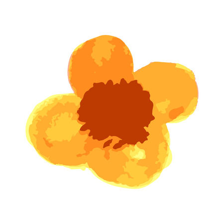 Watercolor floral illustration. Floral decorative element. floral backgroundのイラスト素材