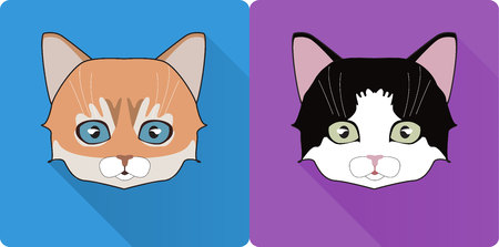 Flat Design Vector Illustration with Long Shadow. Witch Animal Symbol.の写真素材