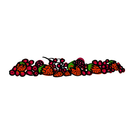 Raspberry fruits. Fresh raspberries Vector illustrationのイラスト素材
