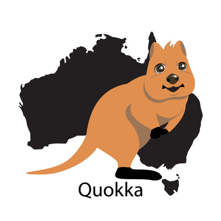 Quokka animall of Australia. Cute animalのイラスト素材