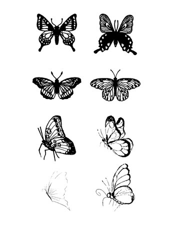 Set of 8 butterflies, decorative hand - drawn butterflies for design on white backgroundのイラスト素材