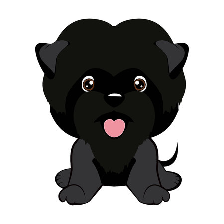 Affenpinscher Vector illustration isolated on white background.のイラスト素材