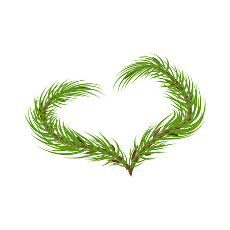 spruce branches in the shape of the heartのイラスト素材