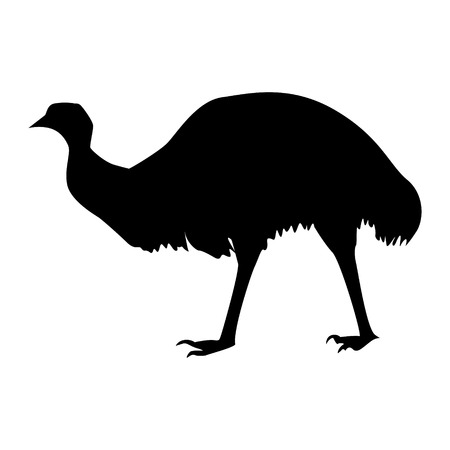 Emu silhouette of an Australian animalのイラスト素材