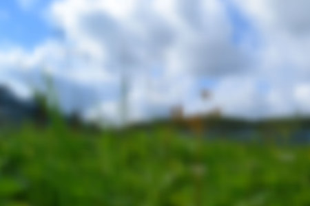 mesh blurred background landscape with mountains, flowers sunny summer weatherのイラスト素材