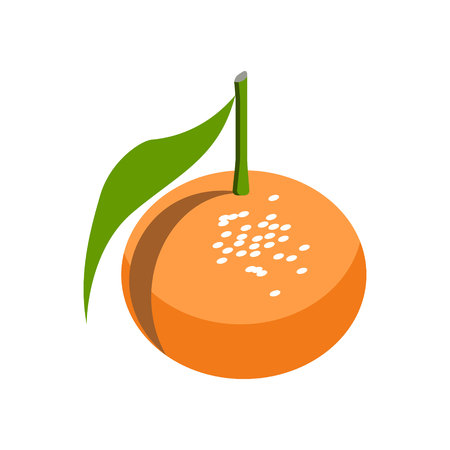 icon of mandarin. vector illustrationのイラスト素材