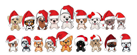 set of cute puppies in red caps with white pompons. dogs of different breedsのイラスト素材