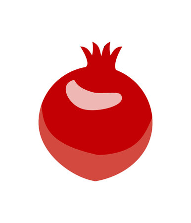 Pomegranate design juicy fresh fruit icon vector template on a white backgroundのイラスト素材