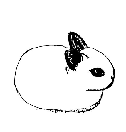 rabbit drawings with a black penの写真素材