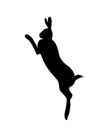 Black silhouettes of hares in different poses. Rabbit. Isolated on a white background. Vector illustration.の写真素材