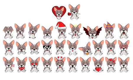 dog American Naked Terrier. Big set of 31 different little dogs. Grey puppies with different emotions.のイラスト素材