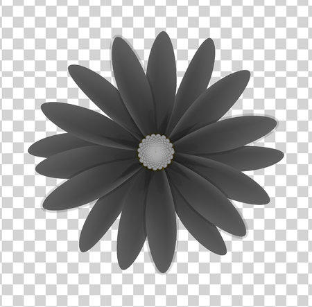 simple flower of grey colors on a transparent backgroundのイラスト素材