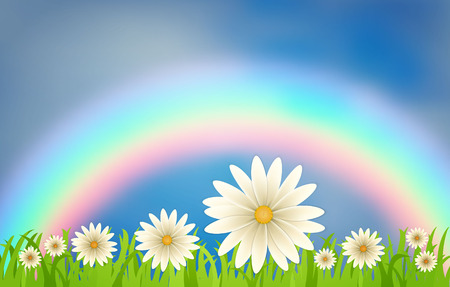Daisies on a lawn against a rainbow and a blue sky with clouds. a composition of daisy flowers on a background of green grass.のイラスト素材