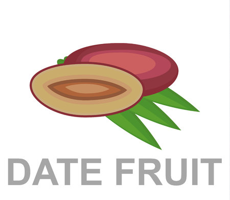 Date fruit icon entirely and in a cut