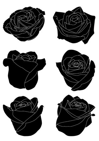 Black silhouettes rose flowers inflorescence with white lines isolated on white background. Icon collection.のイラスト素材