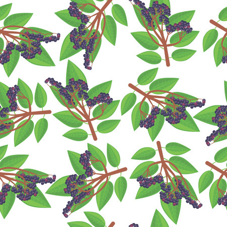 pattern with elderberryのイラスト素材