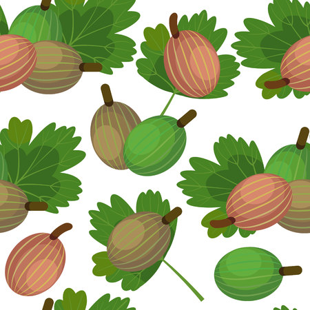 pattern with berries gooseberryのイラスト素材