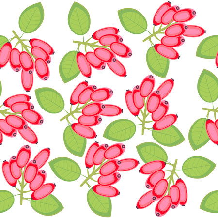 pattern with B rberis BERRIESのイラスト素材