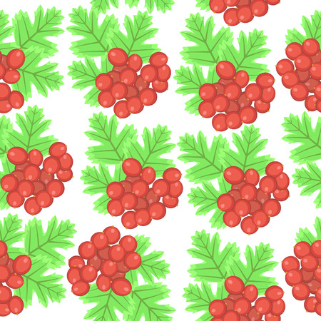 pattern with viburnumのイラスト素材
