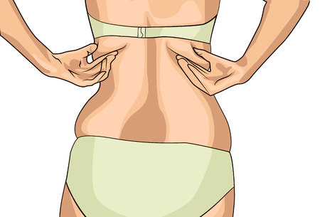 Female hands touching her fat on body isolated on white background.のイラスト素材