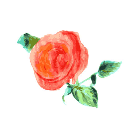 red rose bud and green leavesのイラスト素材