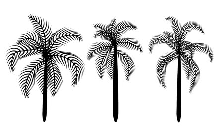 Palm tree black vectorのイラスト素材