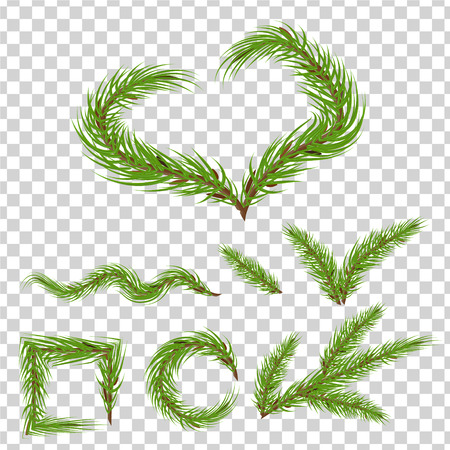 spruce branches in the shape of the heart, circle, square, wave, tick on a transparent backgroundのイラスト素材