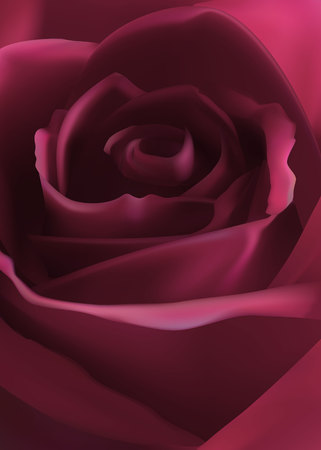 beautiful pink rose budのイラスト素材