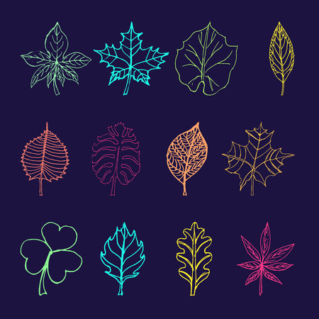Set of Doodle Leaves Sketch line illustrationのイラスト素材