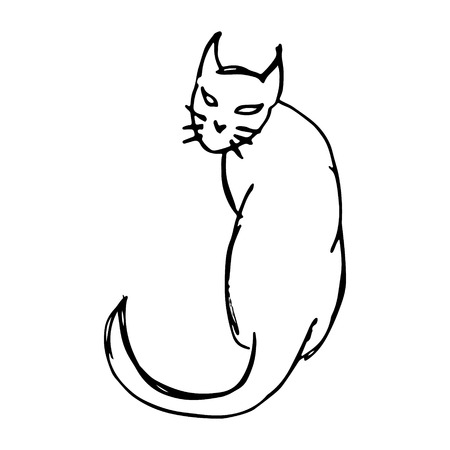 black cat hand draw on white backgroundのイラスト素材