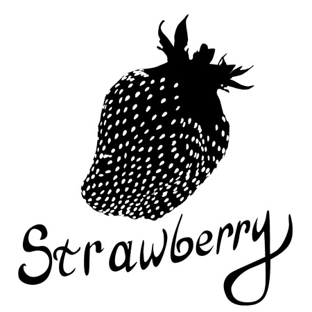 black strawberry fruit vector. Vector illustration for decorative poster, emblem natural product, farmers market.のイラスト素材